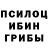 Псилоцибиновые грибы Magic Shrooms Butthurt time