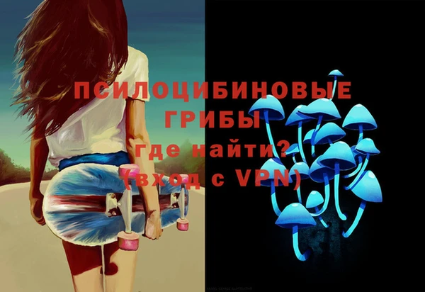 шишки Белоозёрский