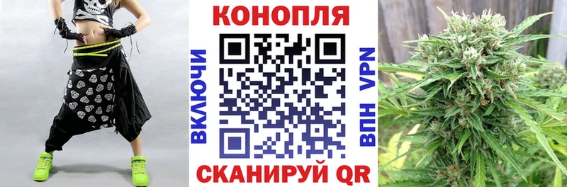 Канабис сатива Салаир